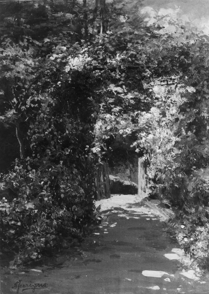 Viale alberato - Palazzo di S. Agostino, Salerno
